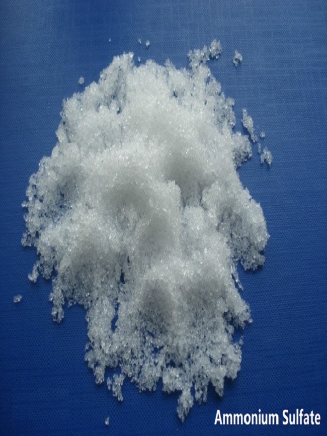 ammonium sulphate1